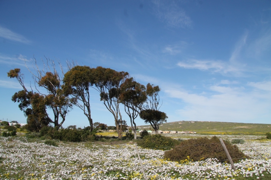 0 Bedroom Property for Sale in Harbour Heights Western Cape